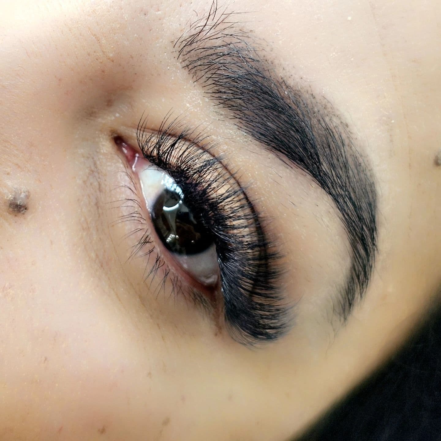 Mega Volume Lash Extensions